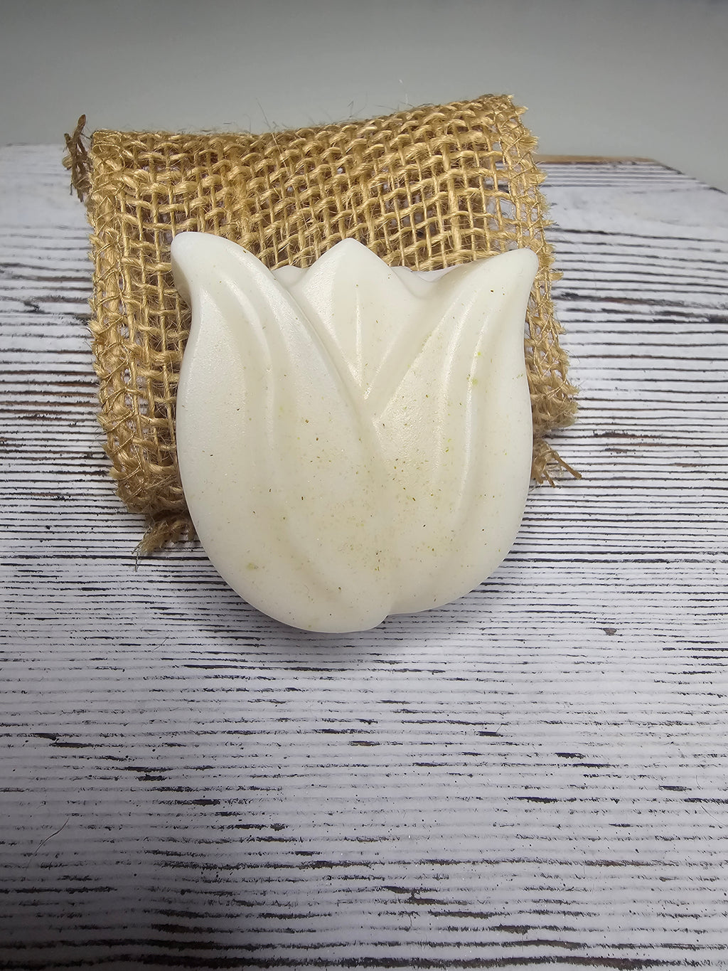 Caribbean Coconut Handmade Soap Bar | Sonoran Bloom Soap Co