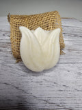 Caribbean Coconut Handmade Soap Bar | Sonoran Bloom Soap Co