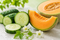 Cucumber Melon Handmade Soap Bar | Sonoran Bloom Soap Co