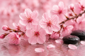 Japanese Cherry Blossom Handmade Soap Bar | Sonoran Bloom Soap Co